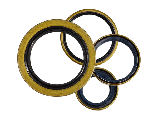 NQKSF Hub Oil Seal