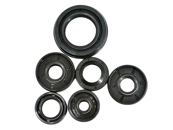 NQKSF Skeleton Oil Seal