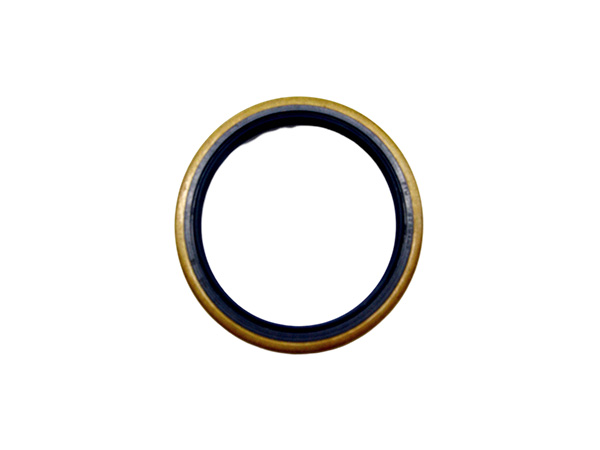 PTFE Stainless Rotary Seals